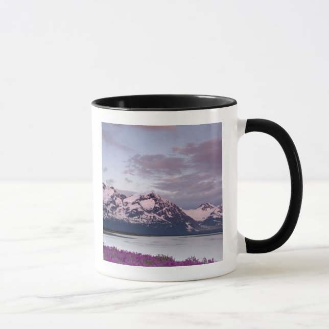 USA, Alaska, Alsekflodens dal. Utsikt över Alsek Mugg (Höger)