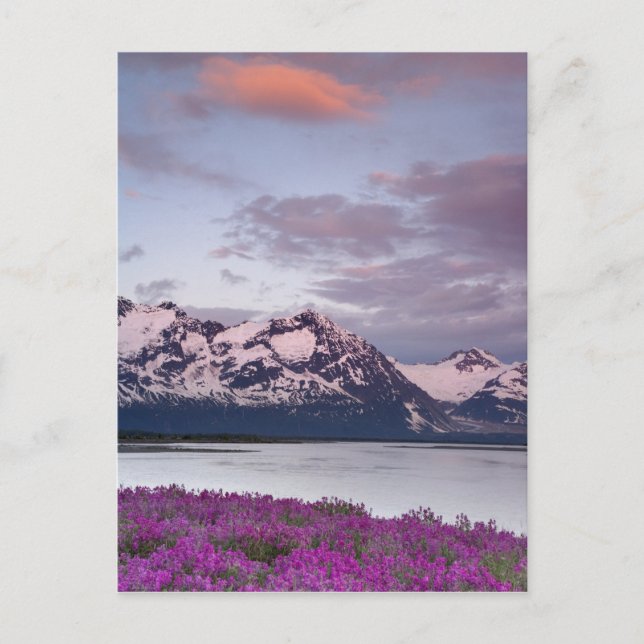 USA, Alaska, Alsekflodens dal. Utsikt över Alsek Vykort (Framsida)