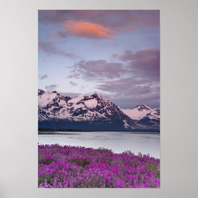 USA, Alaska, Alsekflodens dalgång. Utsikt över Als Poster (Framsidan)