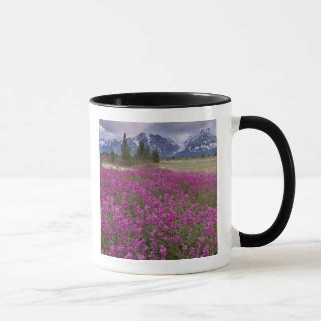 USA, Alaska, Alsekflodens dalgång. Utsikt över Mugg (Höger)