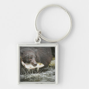 USA, Alaska, Anan Creek. Närbild på svartbjörn Fyrkantig Silverfärgad Nyckelring