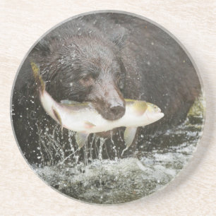 USA, Alaska, Anan Creek. Närbild på svartbjörn Underlägg