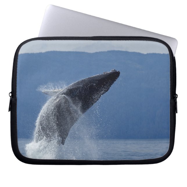 USA, Alaska, Angoon, Humpback Whale (Megaptera) Laptop Fodral (Framsidan)