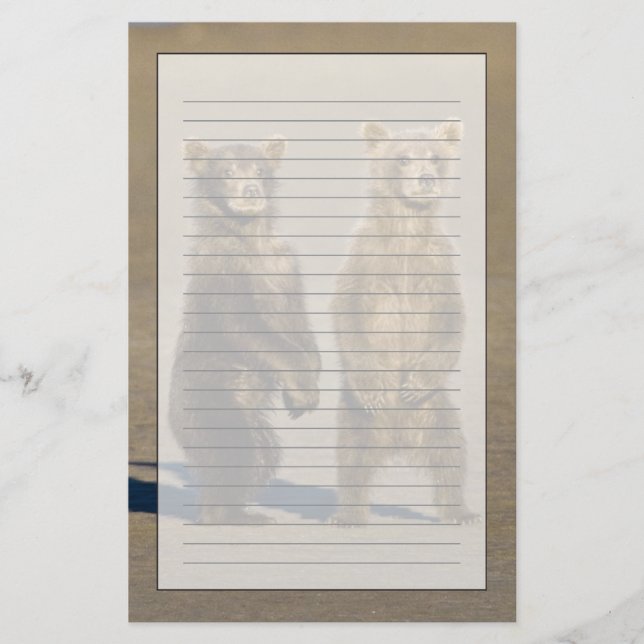 USA. Alaska. Brunbjörn ungar Brevpapper (Framsida)