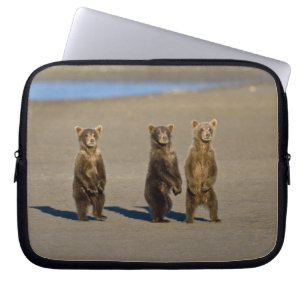 USA. Alaska. Brunbjörn ungar Laptop Sleeve