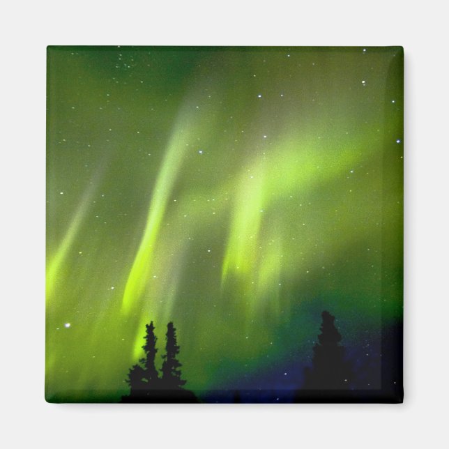USA, Alaska, Chena Hett Vår. AURORA 3 Magnet (Framsidan)