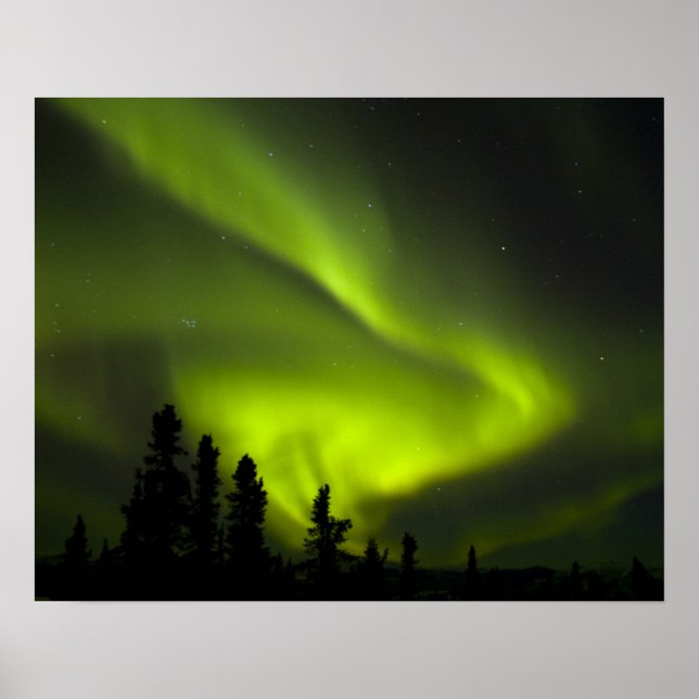 USA, Alaska, Chena Hett Vår. Aurora Borealis 2 Poster (Framsidan)