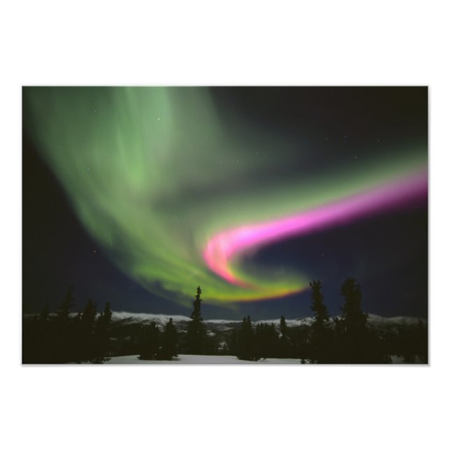 USA, Alaska, Chena Hot Springs. Aurora 2 Fototryck (Framsidan)