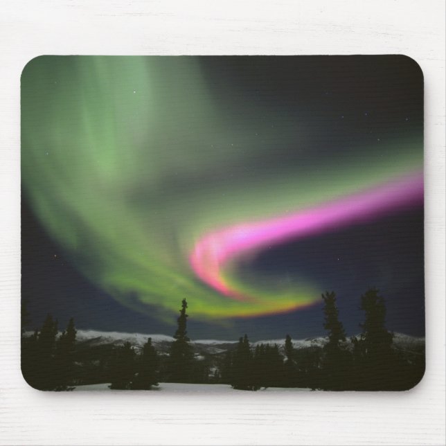 USA, Alaska, Chena Hot Springs. Aurora 2 Musmatta (Framsidan)