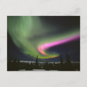 USA, Alaska, Chena Hot Springs. Aurora 2 Vykort