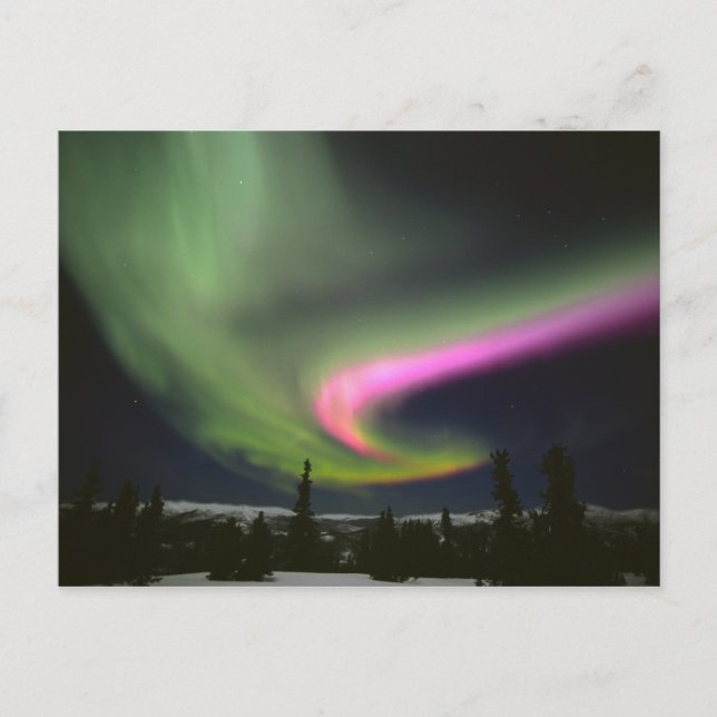USA, Alaska, Chena Hot Springs. Aurora 2 Vykort (Framsida)