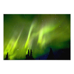 USA, Alaska, Chena Hot Springs. Aurora 3 Fototryck
