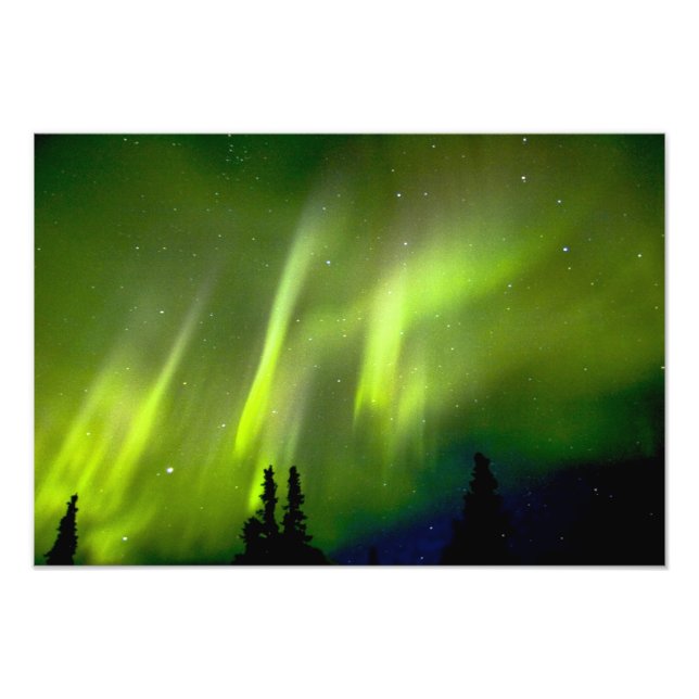 USA, Alaska, Chena Hot Springs. Aurora 3 Fototryck (Framsidan)