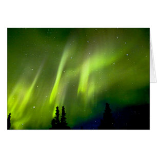 USA, Alaska, Chena Hot Springs. Aurora 3 Hälsningskort