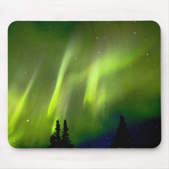 USA, Alaska, Chena Hot Springs. Aurora 3 Musmatta (Framsidan)