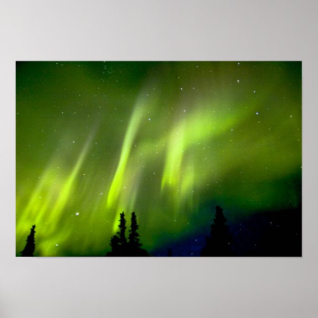 USA, Alaska, Chena Hot Springs. Aurora 3 Poster (Framsidan)