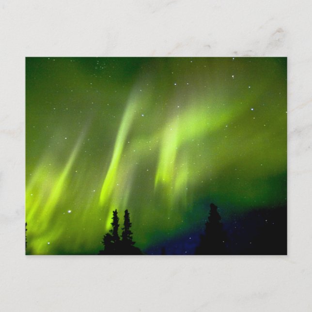 USA, Alaska, Chena Hot Springs. Aurora 3 Vykort (Framsida)