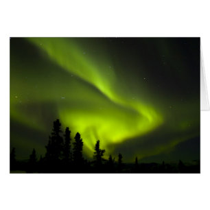 USA, Alaska, Chena Hot Springs. Aurora Borealis 2 Hälsningskort