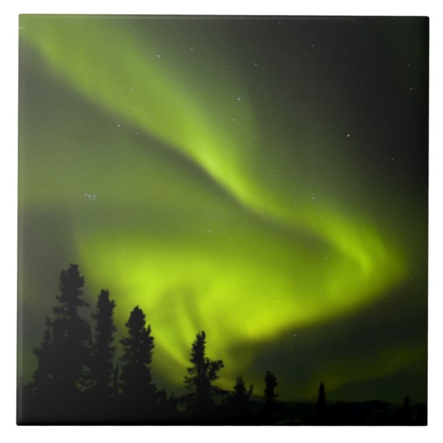 USA, Alaska, Chena Hot Springs. Aurora Borealis 2 Kakelplatta (Framsidan)