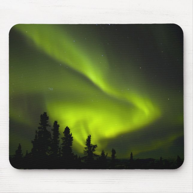 USA, Alaska, Chena Hot Springs. Aurora Borealis 2 Musmatta (Framsidan)