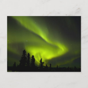 USA, Alaska, Chena Hot Springs. Aurora Borealis 2 Vykort