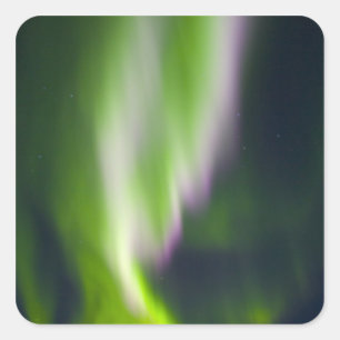 USA, Alaska, Chena Hot Springs. Aurora Borealis Fyrkantigt Klistermärke