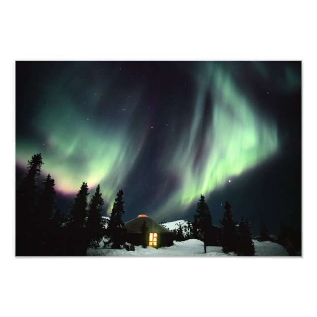 USA, Alaska, Chena Hot Springs. Aurora Fototryck (Framsidan)