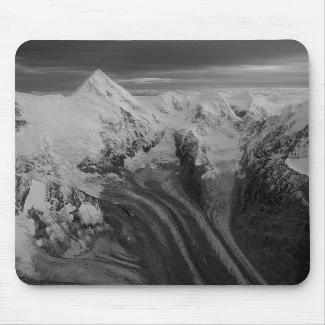 USA, Alaska, Denali National Park, Aerial view 3 Musmatta (Framsidan)