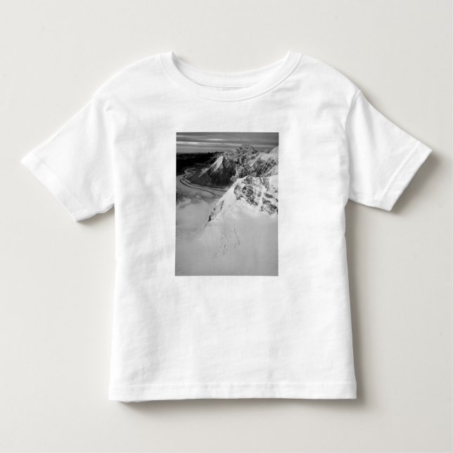 USA, Alaska, Denali National Park, Aerial view T-shirt (Framsida)