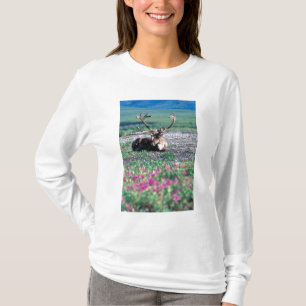 USA, Alaska, Denali National Park, Caribou Tee Shirt