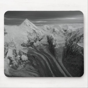 USA, Alaska, Denali National Park, Flygbild 3 Musmatta