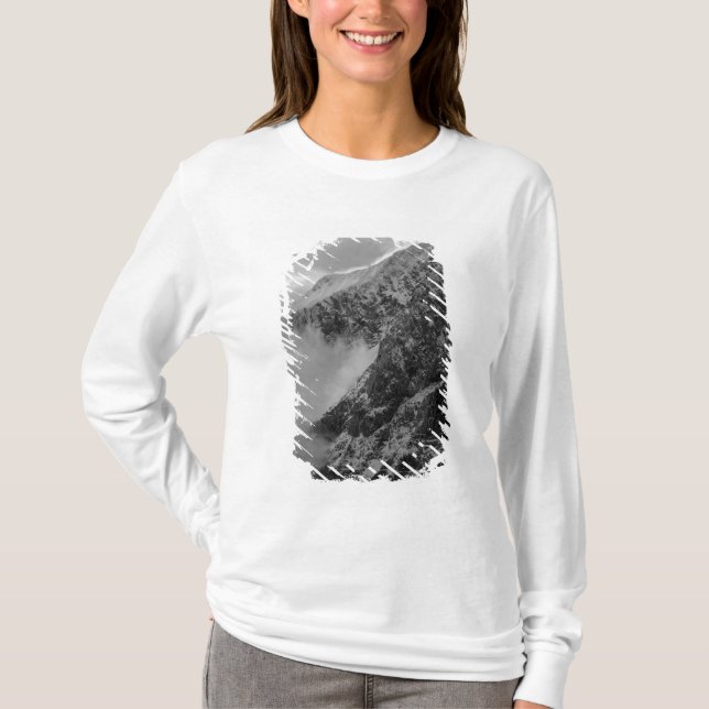 USA, Alaska, Denali National Park, Flygbild 4 Tee (Framsida)