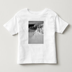 USA, Alaska, Denali National Park, Flygbild T-shirt