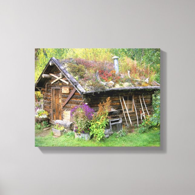 USA, Alaska, Denali National Park, Kantishna. Canvastryck (Framsida)