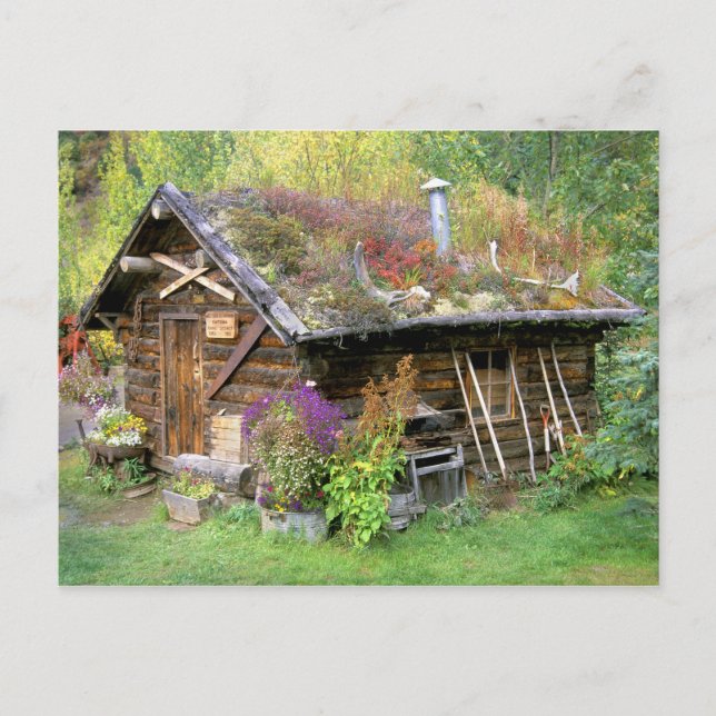 USA, Alaska, Denali National Park, Kantishna. Vykort (Framsida)