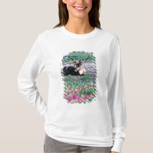 USA, Alaska, Denali National Park, Renar T-shirt