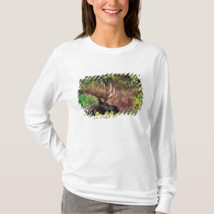 USA, Alaska, Denali National Park, tjurälg T Shirt