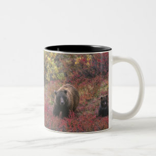USA, Alaska, Denali nationalpark. Brunbjörn Två-Tonad Mugg