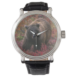 USA, Alaska, Denali nationalpark. Grizzlybjörn Armbandsur