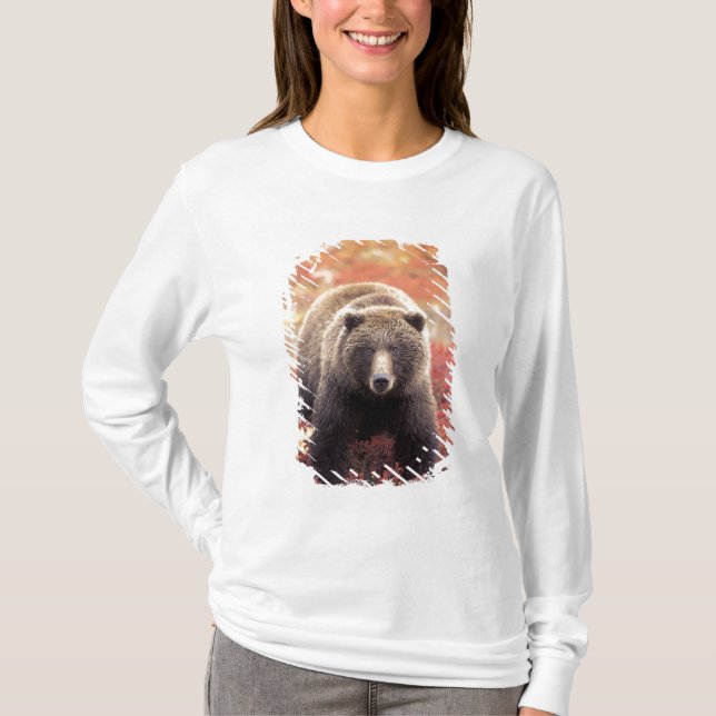 USA, Alaska, Denali NP, Women Grizzly Bear T-shirt (Framsida)