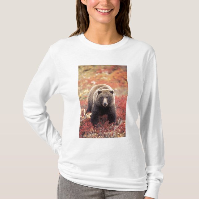 USA, Alaska, Denali NP, Women Grizzly Bear Tee Shirt (Framsida)