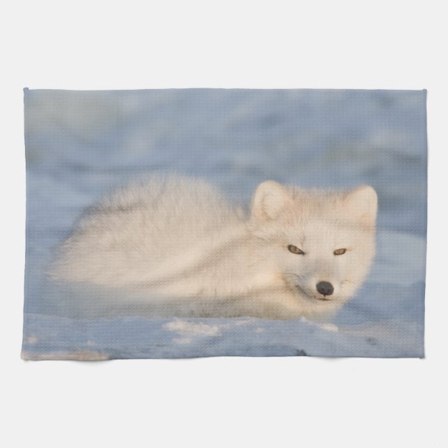 USA, Alaska, Fox Kökshandduk (Horisontell)