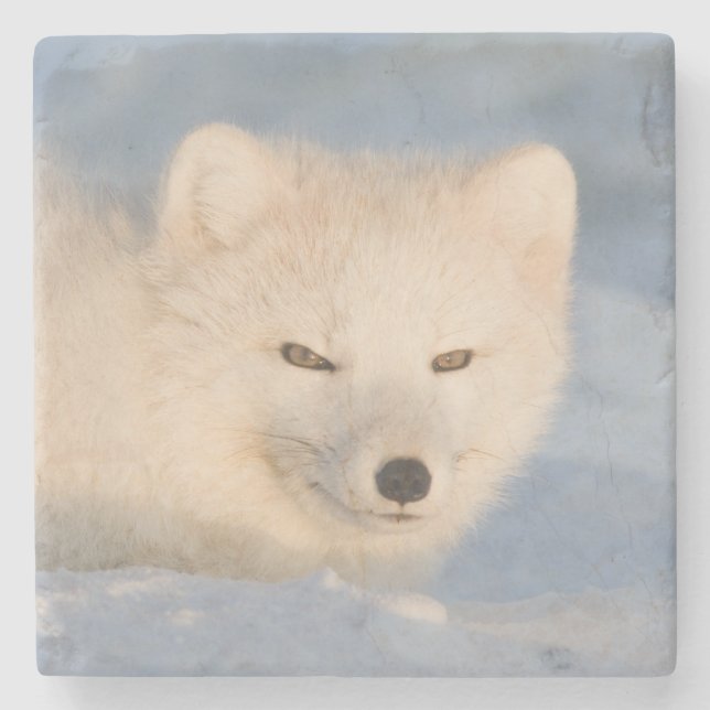 USA, Alaska, Fox Stenunderlägg (Framsidan)