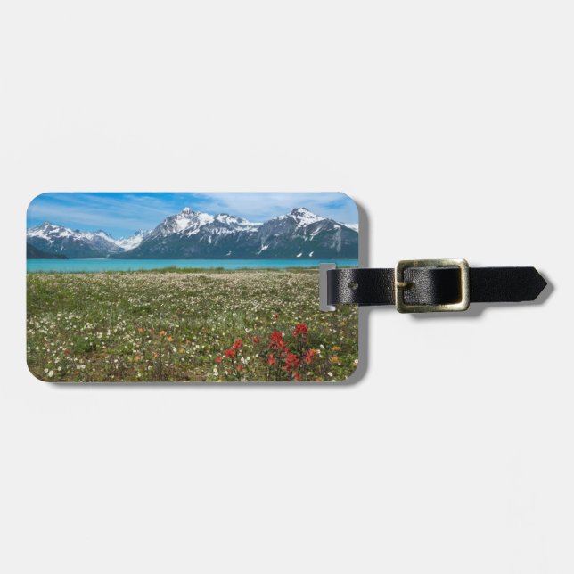 USA, Alaska, Glacier Bay National Park 2 Bagagebricka (Horisontell Framsida)