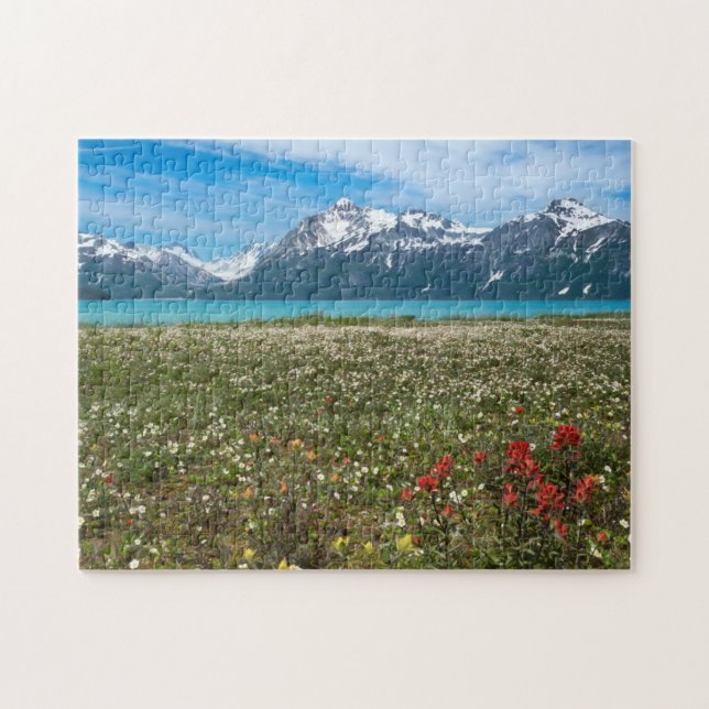 USA, Alaska, Glacier Bay National Park 2 Pussel (Horisontell)