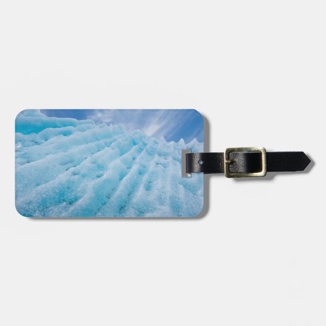 USA, Alaska, Glacier Bay National Park 4 Bagagebricka (Horisontell Framsida)