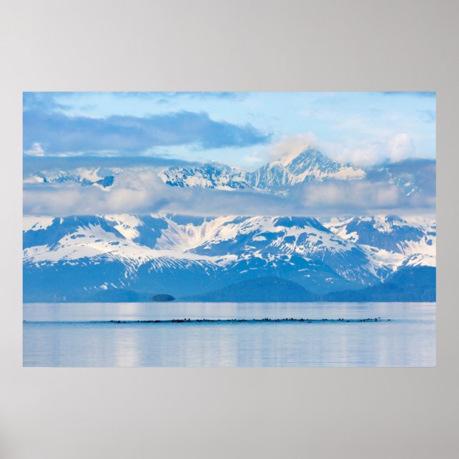 USA, Alaska, Glacier Bay National Park 6 Poster (Framsidan)