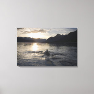 USA, Alaska, Glacier Bay National Park, Canvastryck