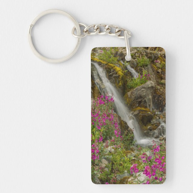 USA, Alaska, Glacier Bay National Park. Eldslinga (Framsidan)