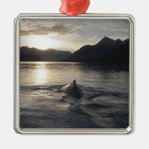 USA, Alaska, Glacier Bay National Park, Julgransprydnad Metall